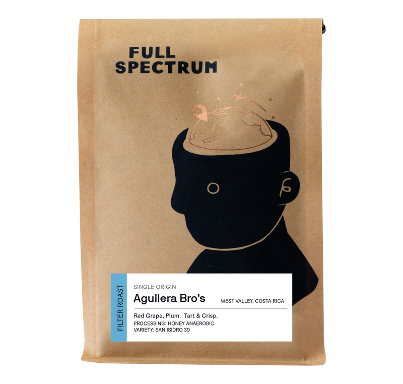 Costa Rica Aguilera Brothers